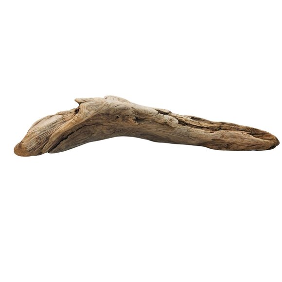Natural Driftwood Decor Piece For Crafting Aquariums Reptile Tanks Or Rustic Dis - Picture 4 of 14